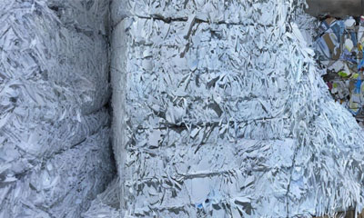 Is Paper Biodegradable?